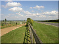 Gallops, Newmarket, Suffolk