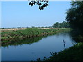 SP2192 : River Tame - Looking NW from Hams Hall by John Phillips