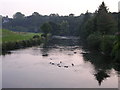 River Kelvin