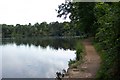 Mytchett Lake from the Basingstoke Canal towpath