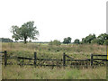 Bray Wick farmland