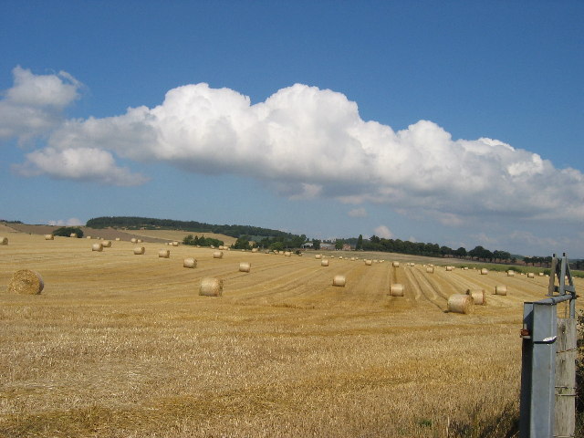 Harvest scene on the Kinross/Fife border