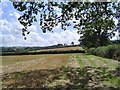 Monkokehampton countryside