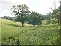 Valley behind Flete House