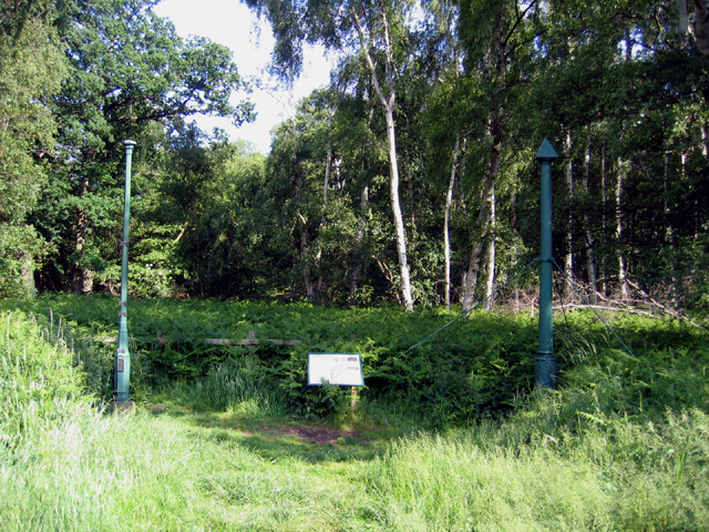 Holme Fen Posts, Cambs