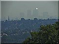 Canary Wharf from Alexandra Palace