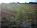 Footpath between Dean and Sparsholt