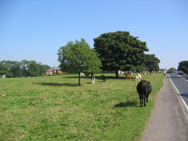 Beverley Pasture