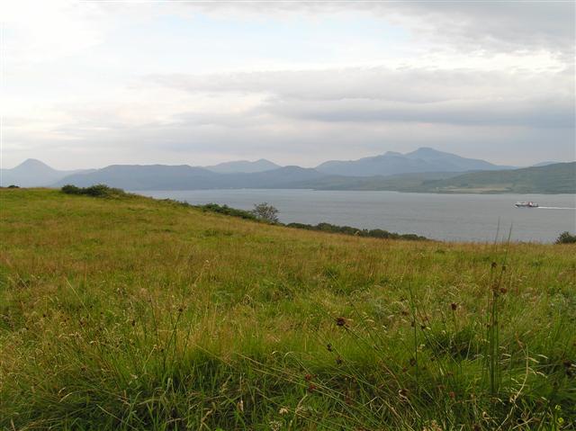 Grazing grassland with view to Mull and a CalMac Ferry.