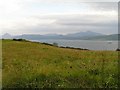 Grazing grassland with view to Mull and a CalMac Ferry.