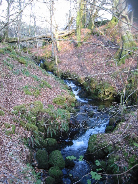Waterfall in Morvern