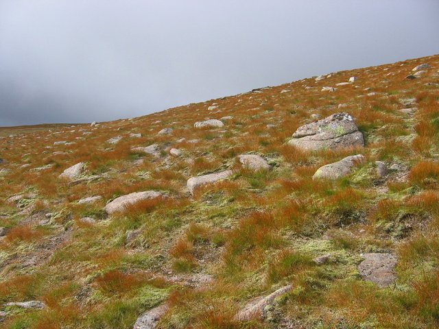 Granite gravels, Cairn Lochan.