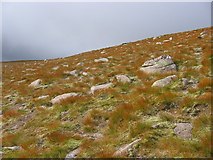 NH9902 : Granite gravels, Cairn Lochan. by Richard Webb