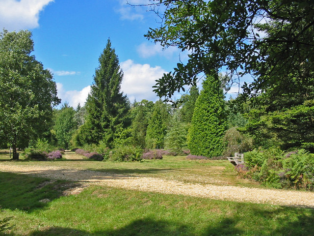 Blackwater Arboretum, New Forest