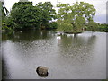 Village Pond