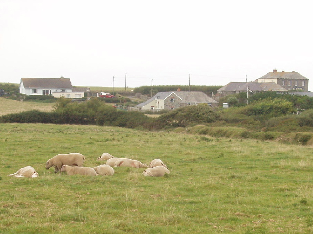 Carnevas Farm, near Porthcothan