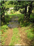 NM5455 : Ford near Mains of Drimnin by Kathy E