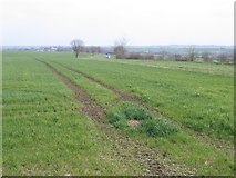 TL3062 : Farmland south of Elsworth, Cambs by Rodney Burton