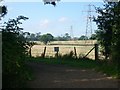 Fields and pylons by the bridleway south of Cobham