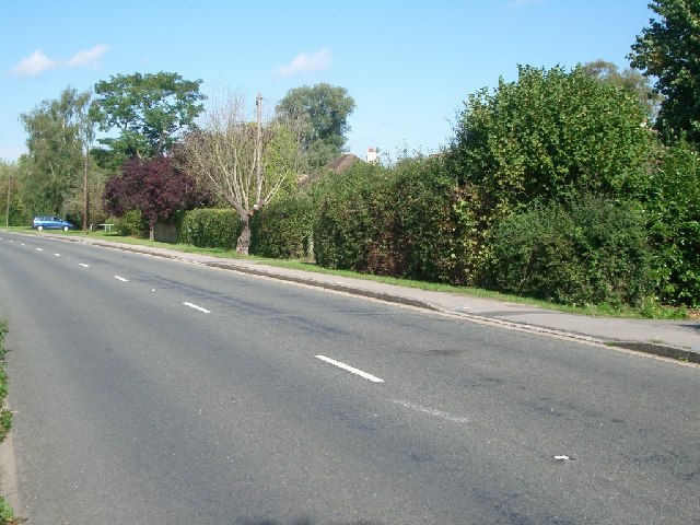 Effingham Common Road © Andrew Longton Cc By Sa20 Geograph Britain And Ireland 8876