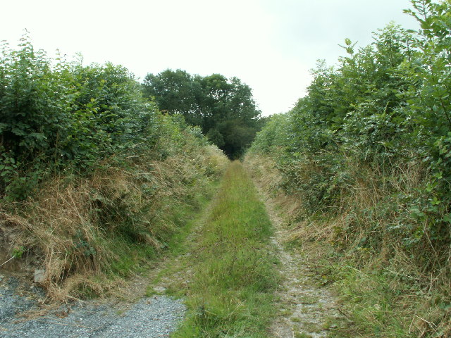 Trackway, Cwm Perlla