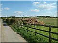 The Road to Coldharbour Farm