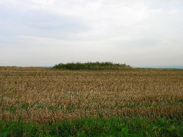 Tumulus, Front Hill