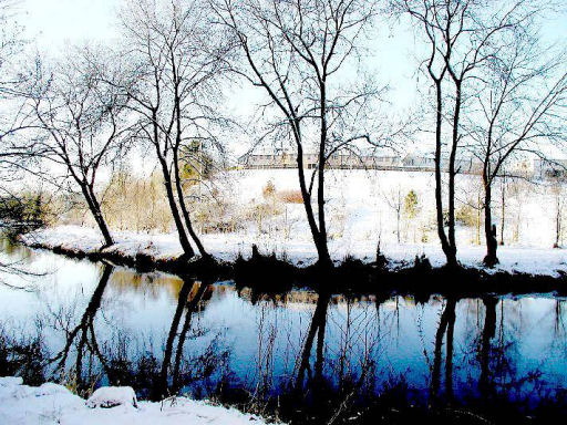 Reflections in winter
