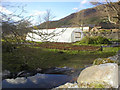 Polytunnel at Leckmelm Farm