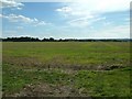 Looking towards Oakley Wood