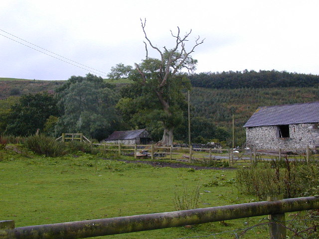 Old tree, old stone barns and young conifers.