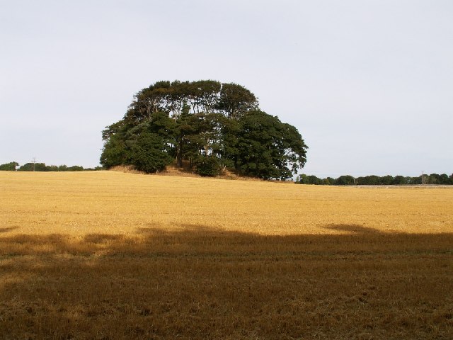 Pitmilly Law