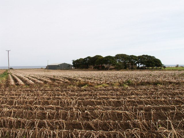 Boghall farm fields
