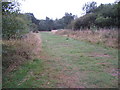 Concessionary ride - Ashtead Common