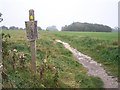 Footpath over Golf Course