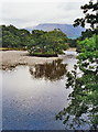 NN0168 : The River Scaddle from the bridge at Inverscaddle Bay, Ardgour by Mike and Kirsty Grundy