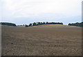 Farmland, Shefford, Beds