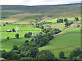 Looking West across the Walden Beck valley