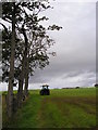 Field with Tractor