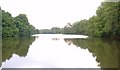 Hammer Pond, Bucks Head, West Sussex