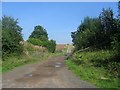 Farm road,  Stepple