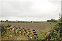 SO9351 : Field and Gate near Peopleton by Dave Bushell