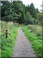 NS5377 : West Highland Way in Craigallian Woods, Stirlingshire by Brian D Osborne