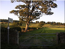 NY5330 : Public Footpath to Scaws and Beacon Edge by Chris Upson
