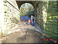 Tunnel beneath dismantled railway at Wilton Park.