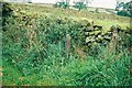 Boundary marker on Gisburn Old Road