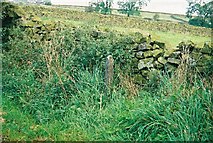 SD8642 : Boundary marker on Gisburn Old Road by Dr Neil Clifton