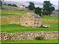 Fields & Barns between Askrigg and Newbiggin