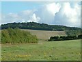 Ewelme Downs