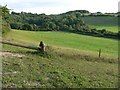 Field South West of Woldingham